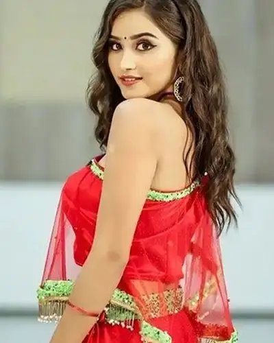 Escort In Chittaurgarh